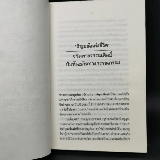 ดินสอขอเขียน - ธเนศ เวศร์ภาดา รูปที่ 10