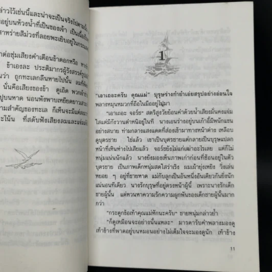 ดวงตาอามาริลลีส - นาตาเลีย แบ็บบิตต์ รูปที่ 9