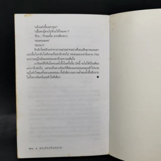 พระจันทร์แสนกล - ดวงตะวัน รูปที่ 10