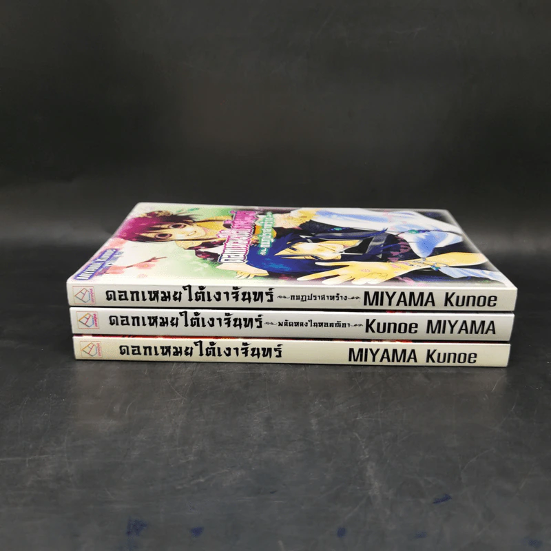นิยาย ดอกเหมยใต้เงาจันทร์ 3 ภาค รูปที่ 2