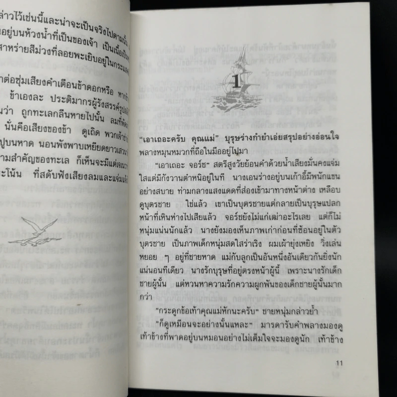 ดวงตาอามาริลลีส - นาตาเลีย แบ็บบิตต์ รูปที่ 9