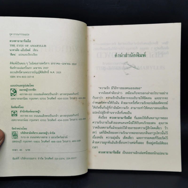 ดวงตาอามาริลลีส - นาตาเลีย แบ็บบิตต์ รูปที่ 8