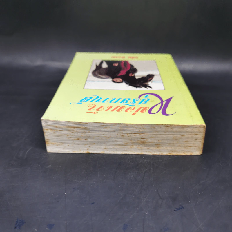 หม่อมเจ้าสุริยกานต์ - วลัยนวาระ รูปที่ 6