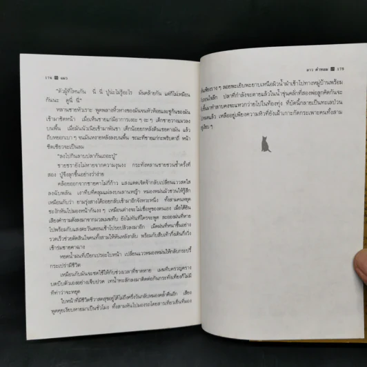 แมว - ลาว คำหอม รูปที่ 11