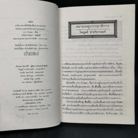 แมว - ลาว คำหอม รูปที่ 9