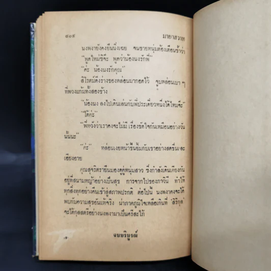 มายาสวาท - ชูวงศ์ ฉายะจินดา รูปที่ 10