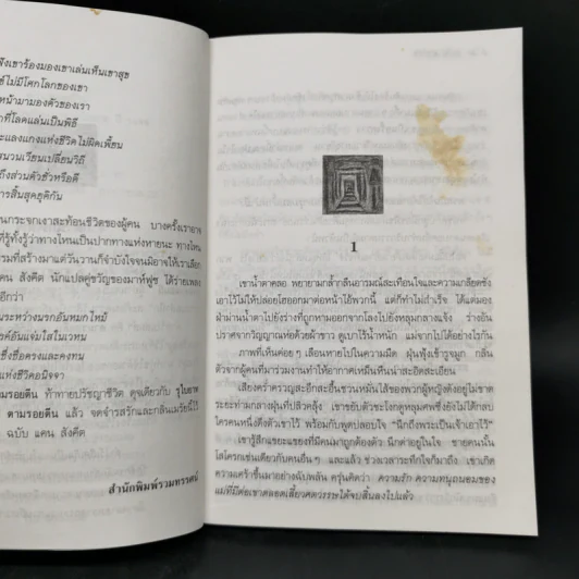 ตามรอยตีน - นากิบ มาห์ฟูซ รูปที่ 9