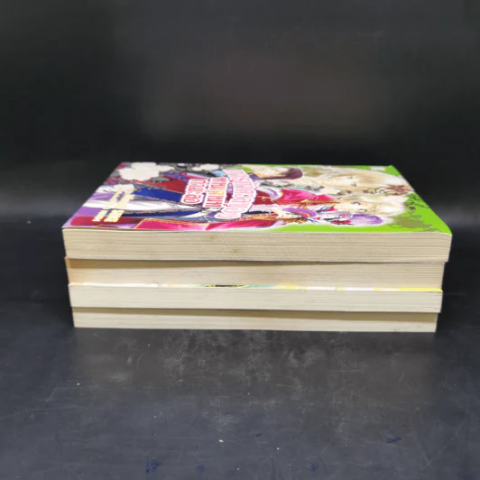 นิยาย การผจญภัยของท่านเคานท์กำมะลอ 4 เล่ม รูปที่ 4