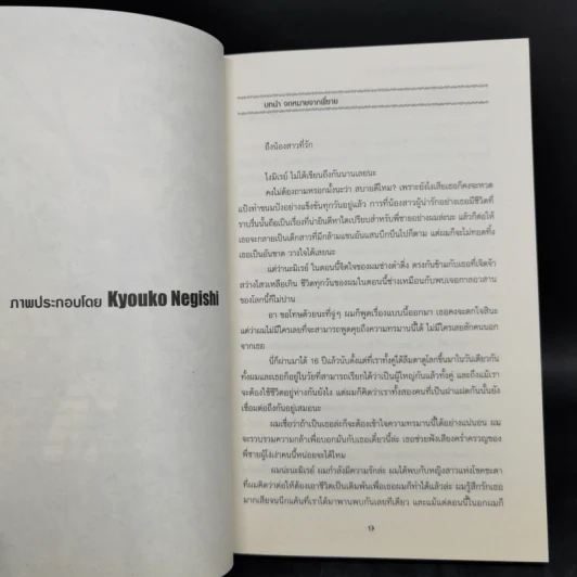 นิยาย การผจญภัยของท่านเคานท์กำมะลอ 4 เล่ม รูปที่ 9