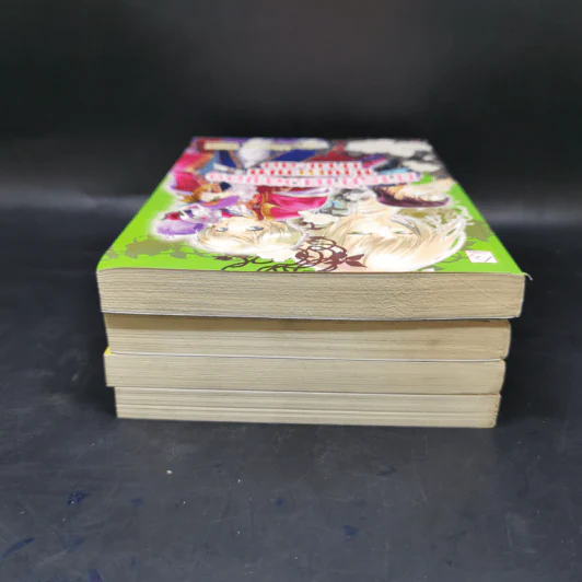 นิยาย การผจญภัยของท่านเคานท์กำมะลอ 4 เล่ม รูปที่ 5