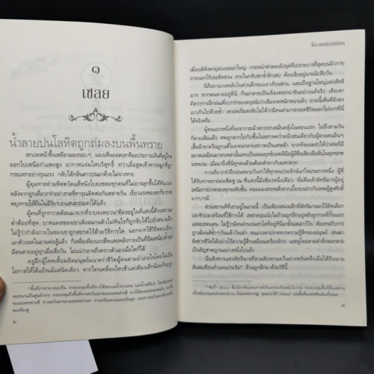 ลำนำราตรี 2 เล่มจบ - จื่อเวยหลิวเหนียน รูปที่ 10