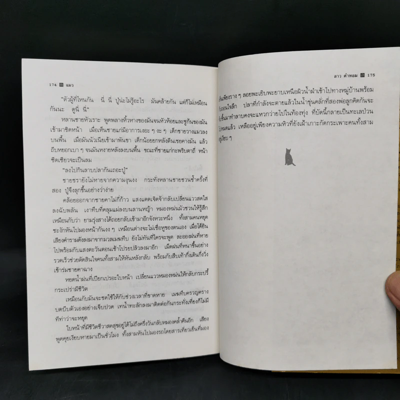 แมว - ลาว คำหอม รูปที่ 11