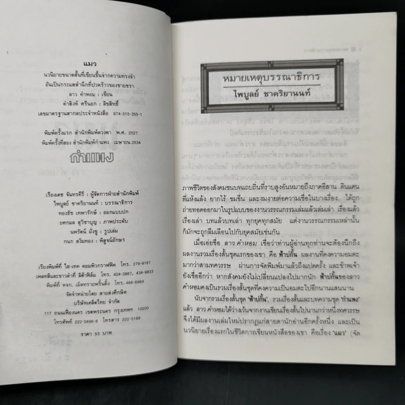 แมว - ลาว คำหอม รูปที่ 9