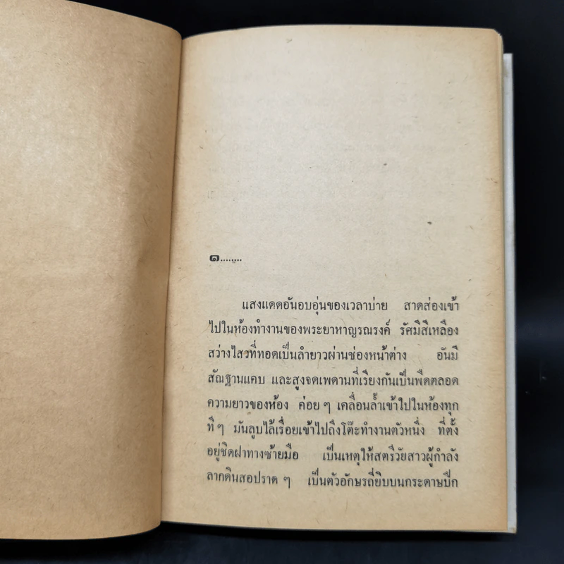 มายาสวาท - ชูวงศ์ ฉายะจินดา รูปที่ 9