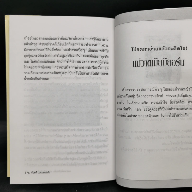 แม่วาดเมียบียอร์น ตอน กำเนิดตัวละคร - จันทร์ ศรีจรูญ แอนเดอร์สัน รูปที่ 11