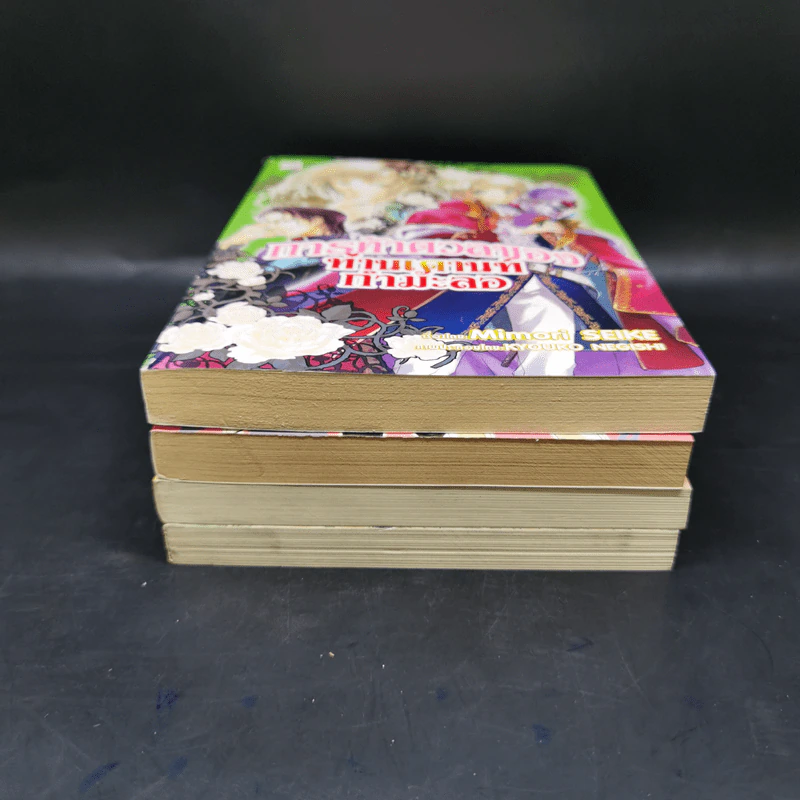 นิยาย การผจญภัยของท่านเคานท์กำมะลอ 4 เล่ม รูปที่ 3