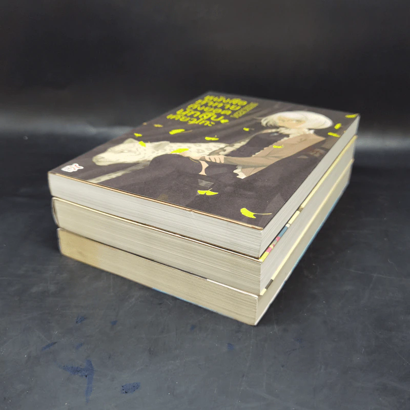 บันทึกกันลืมของยอดนักสืบเคียวโกะ + หนังสือแนะนำ + หนังสือท้าทาย - NISIOISIN รูปที่ 6