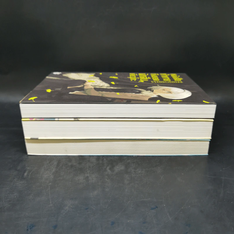 บันทึกกันลืมของยอดนักสืบเคียวโกะ + หนังสือแนะนำ + หนังสือท้าทาย - NISIOISIN รูปที่ 4