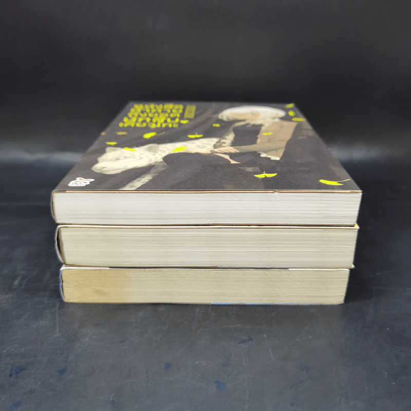 บันทึกกันลืมของยอดนักสืบเคียวโกะ + หนังสือแนะนำ + หนังสือท้าทาย - NISIOISIN รูปที่ 3