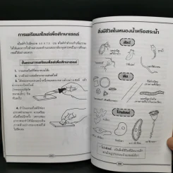 ปฏิบัติการแนวใหม่ โครงงานวิทยาศาสตร์ รูปที่ 12