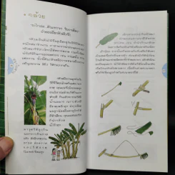 สนุกในสวน - ฤทัย จงสฤษดิ์ รูปที่ 11