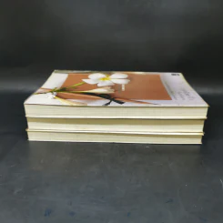 เอดส์ไดอารี่ เล่ม 1-3 - แก้ว รูปที่ 4