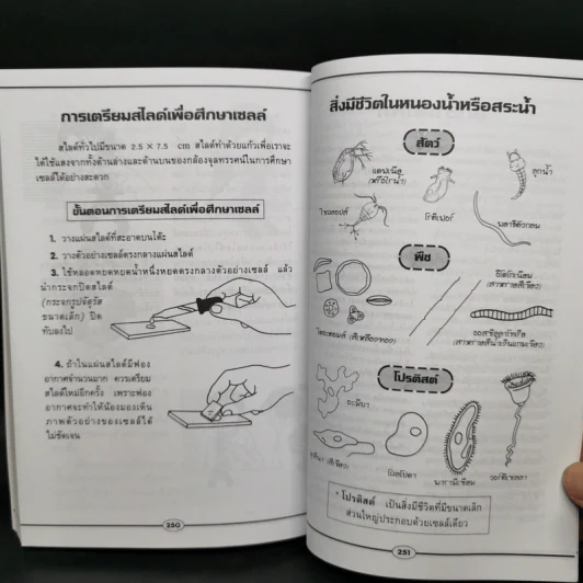 ปฏิบัติการแนวใหม่ โครงงานวิทยาศาสตร์ รูปที่ 12