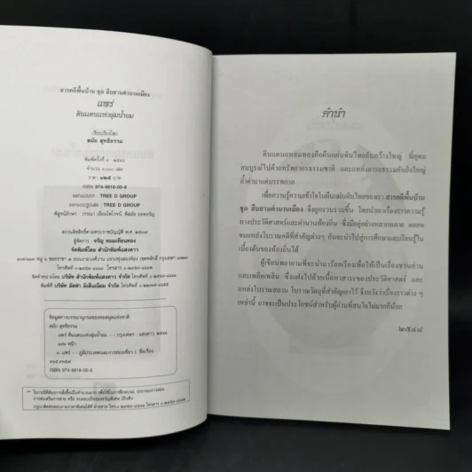 แพร่ ดินแดนแห่งลุ่มน้ำยม - สมัย สุทธิธรรม รูปที่ 8