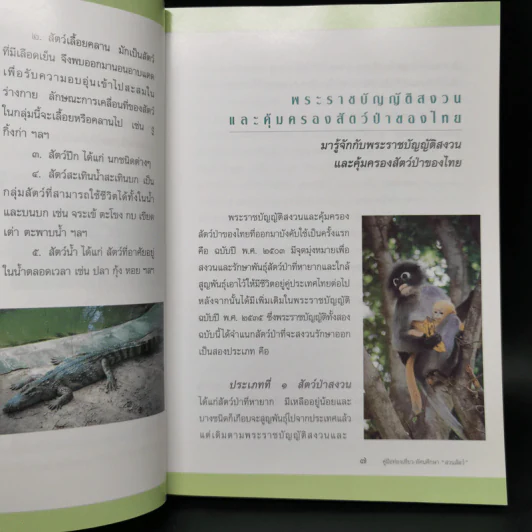 คู่มือท่องเที่ยว-ทัศนศึกษา สวนสัตว์ - น.ท.เสริมสกุล โทณะวณิก รูปที่ 11