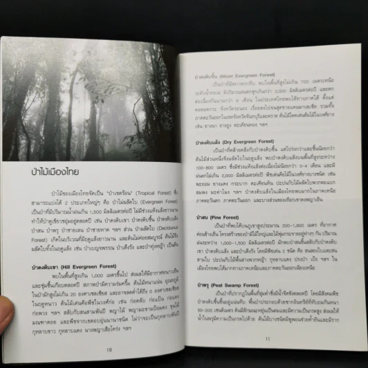 คู่มือดูดอกไม้ป่า - ชาธร สิทธิเคหภาค รูปที่ 11