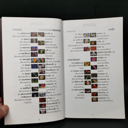 คู่มือดูดอกไม้ป่า - ชาธร สิทธิเคหภาค รูปที่ 10