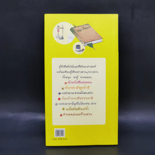 สนุกในสวน - ฤทัย จงสฤษดิ์ รูปที่ 2
