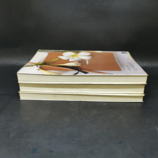 เอดส์ไดอารี่ เล่ม 1-3 - แก้ว รูปที่ 4