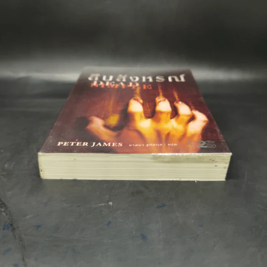 สืบสังหรณ์ Dead Simple - Peter James รูปที่ 4