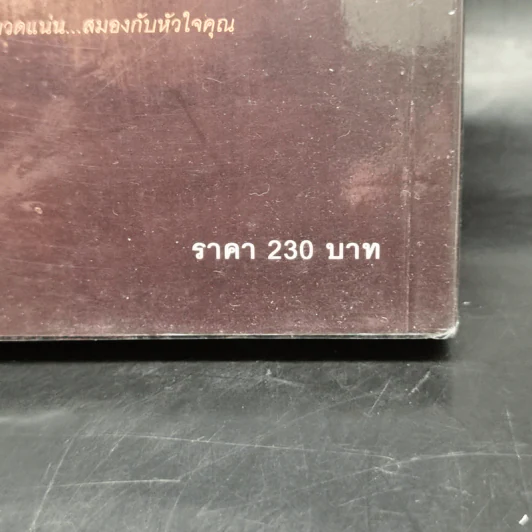 สืบสังหรณ์ Dead Simple - Peter James รูปที่ 11