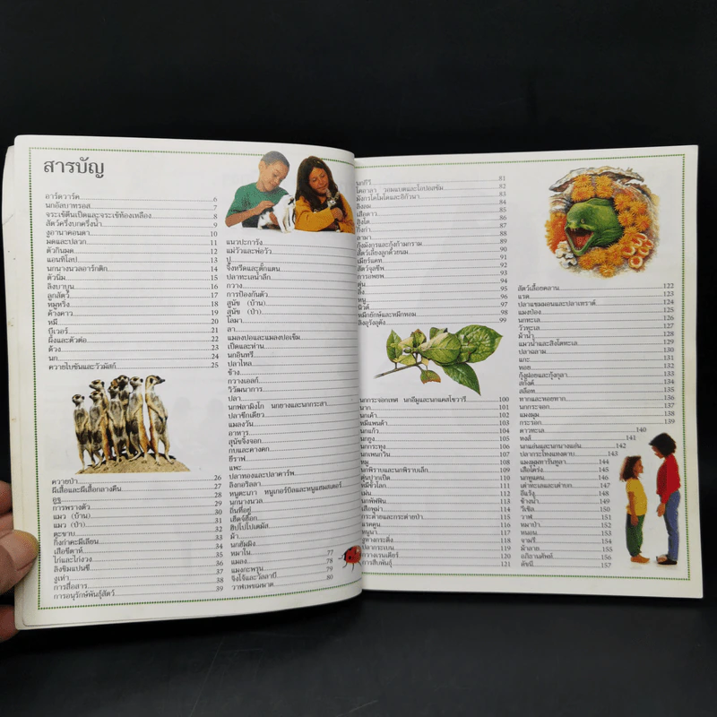 สารานุกรมความรู้เรื่องสัตว์สำหรับเด็ก รูปที่ 9