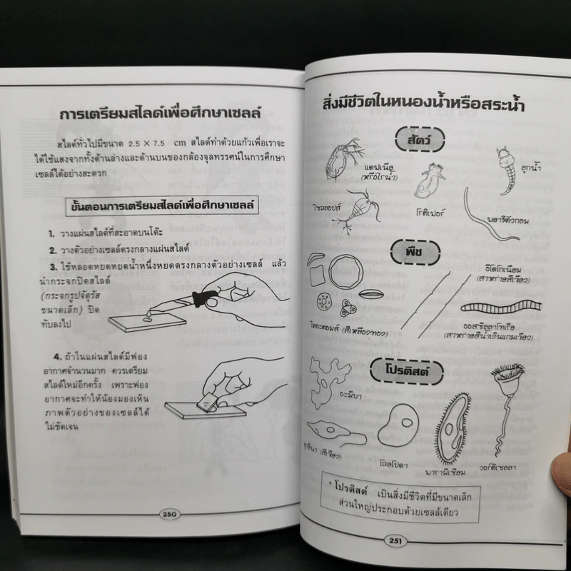 ปฏิบัติการแนวใหม่ โครงงานวิทยาศาสตร์ รูปที่ 12