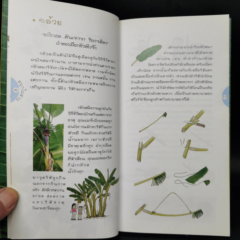 สนุกในสวน - ฤทัย จงสฤษดิ์ รูปที่ 11