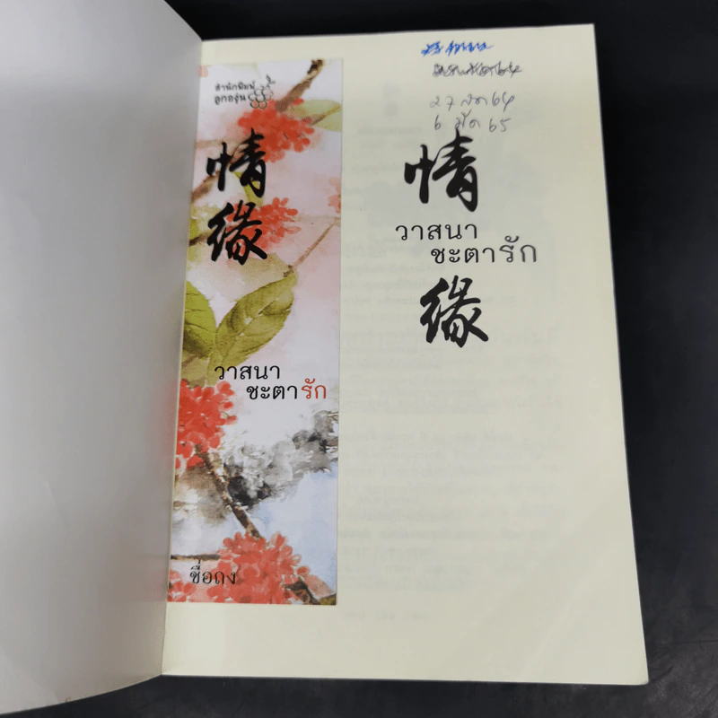 วาสนาชะตารัก - ชื่อถง รูปที่ 8