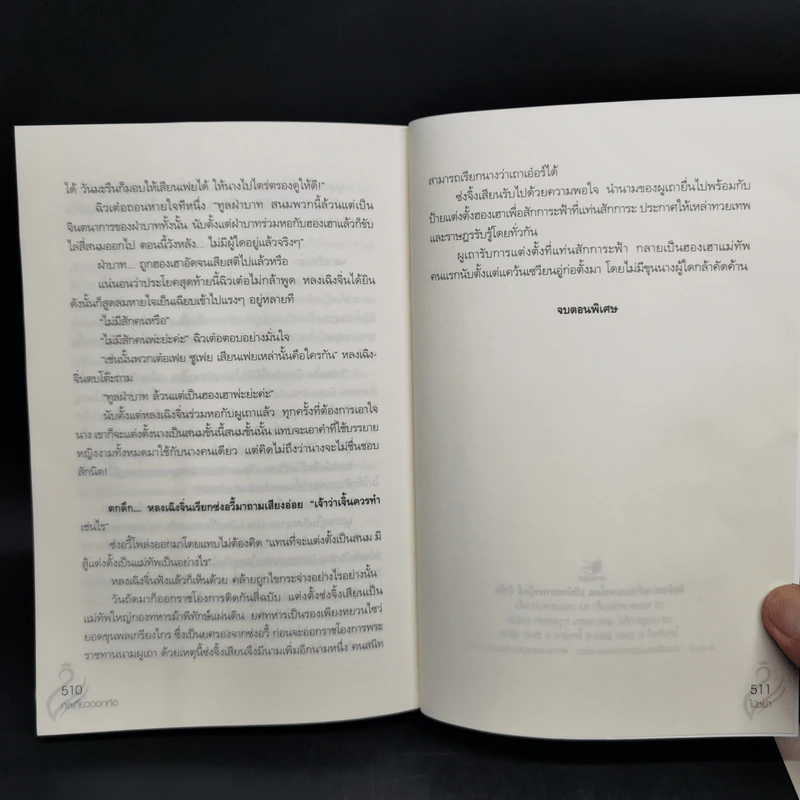 กลเกี้ยวดอกท้อ - ไป่ซย่า รูปที่ 12