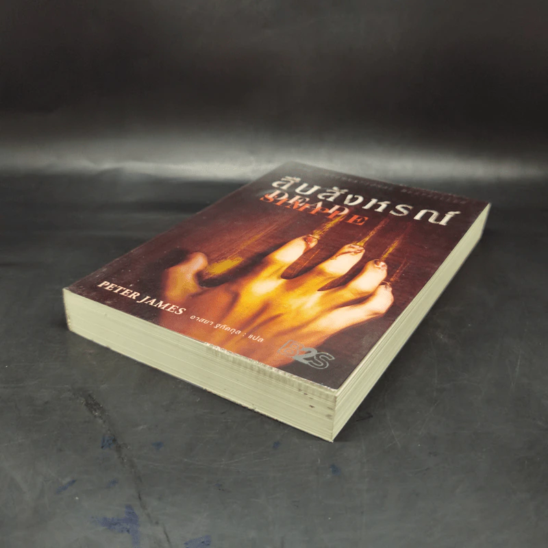 สืบสังหรณ์ Dead Simple - Peter James รูปที่ 7