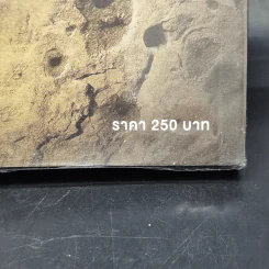 ลวงตา ลวงตาย Echo Burning - Lee Child รูปที่ 11