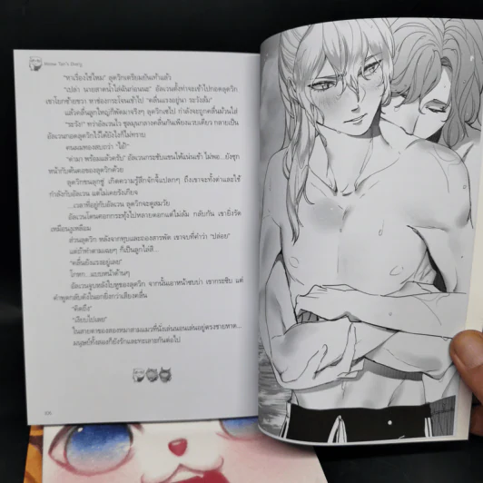 Box Set บันทึกรักแมวท่าน 3 เล่มจบ รูปที่ 17