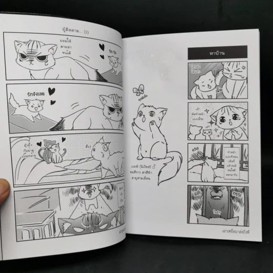 Box Set บันทึกรักแมวท่าน 3 เล่มจบ รูปที่ 12