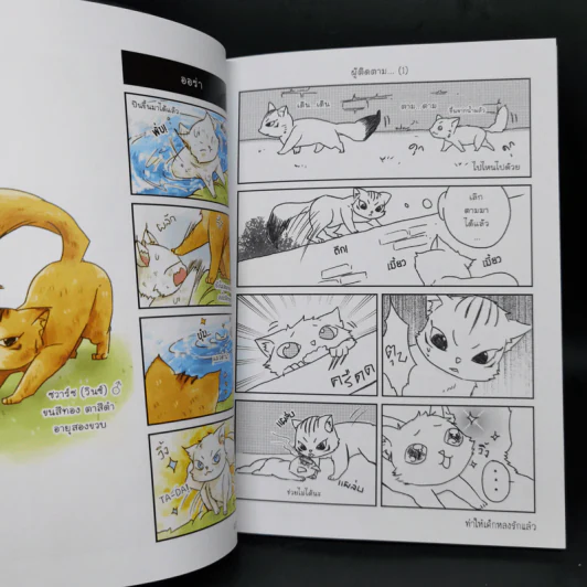 Box Set บันทึกรักแมวท่าน 3 เล่มจบ รูปที่ 11