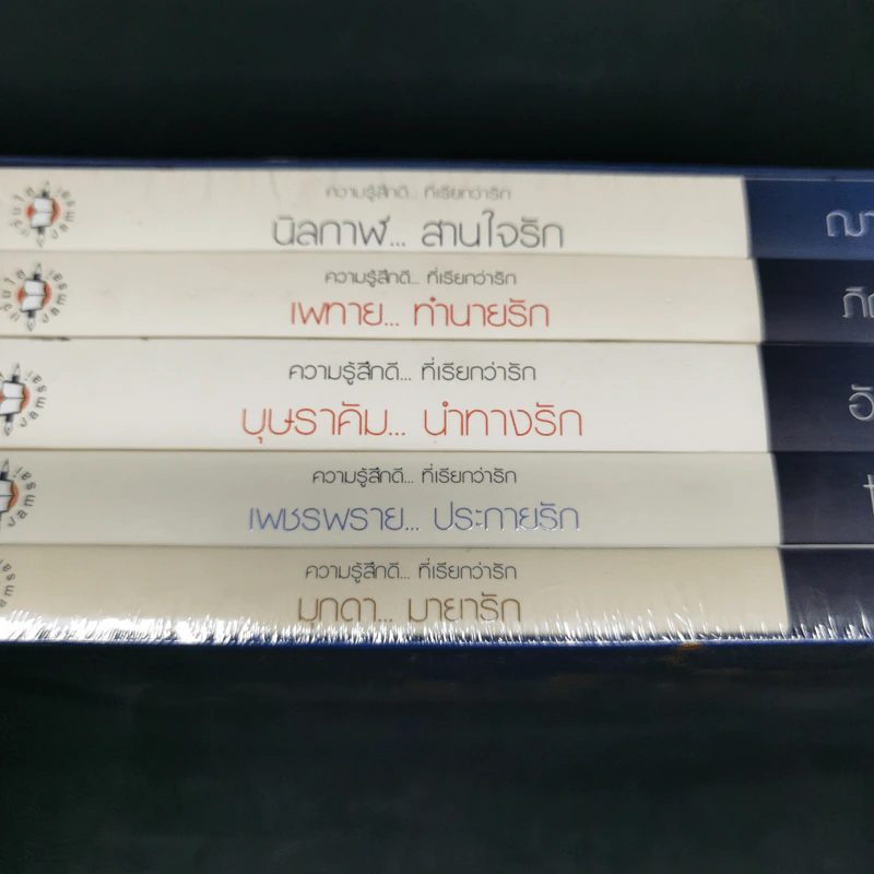 Boxset อัญมณีแห่งรัก Love Jewelry 5 เล่ม รูปที่ 10