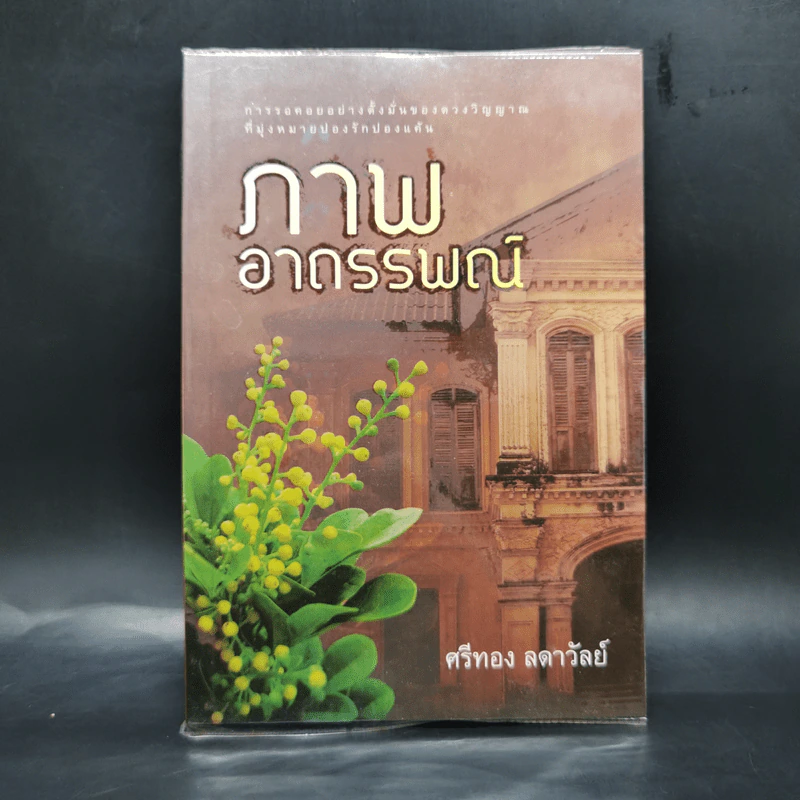 ภาพอาถรรพณ์ - ศรีทอง ลดาวัลย์ รูปที่ 1