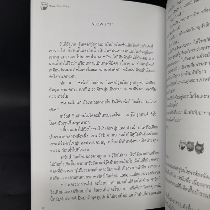 Box Set บันทึกรักแมวท่าน 3 เล่มจบ รูปที่ 13