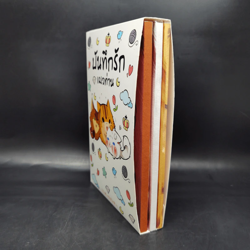 Box Set บันทึกรักแมวท่าน 3 เล่มจบ รูปที่ 3
