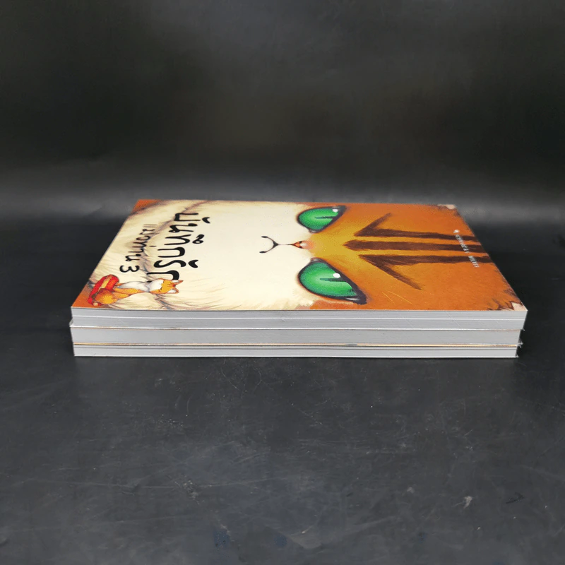 Box Set บันทึกรักแมวท่าน 3 เล่มจบ รูปที่ 7